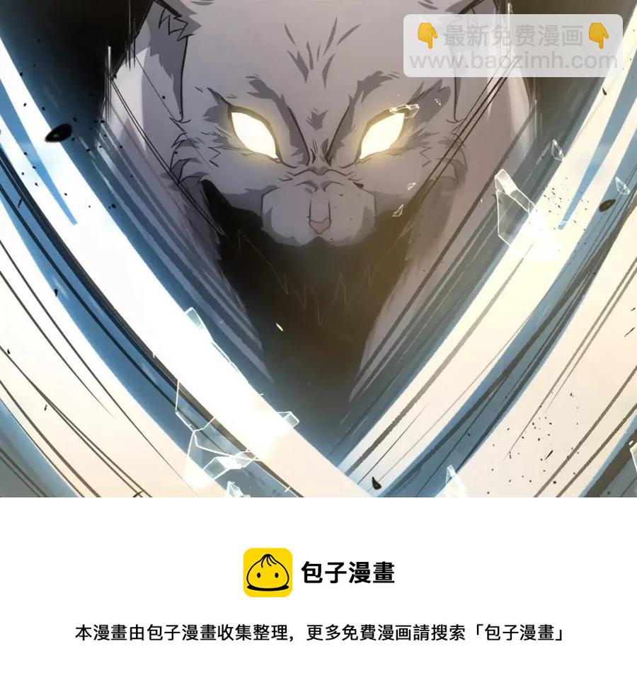 第23话 喜得宠物8