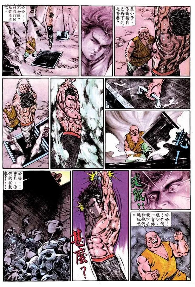 第337卷28
