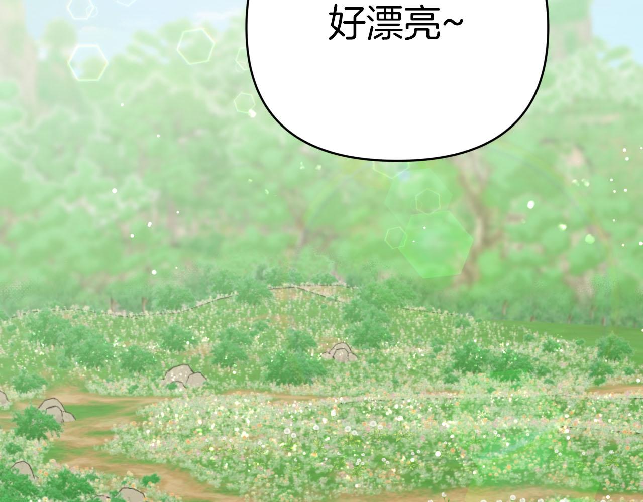 第24话 蒲公英群部落124