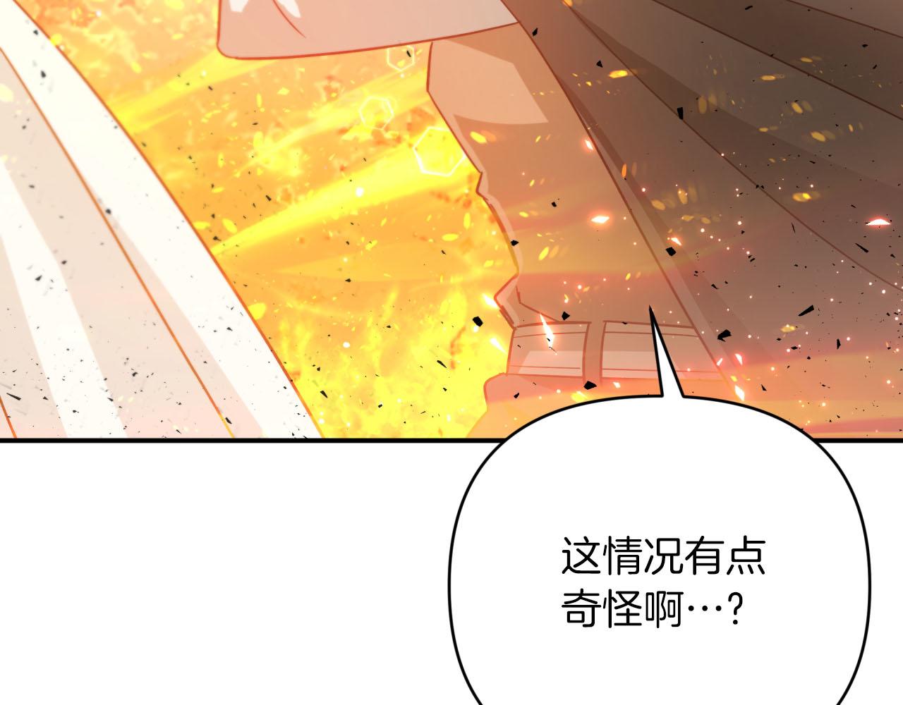 第32话 大佬的连携攻击207