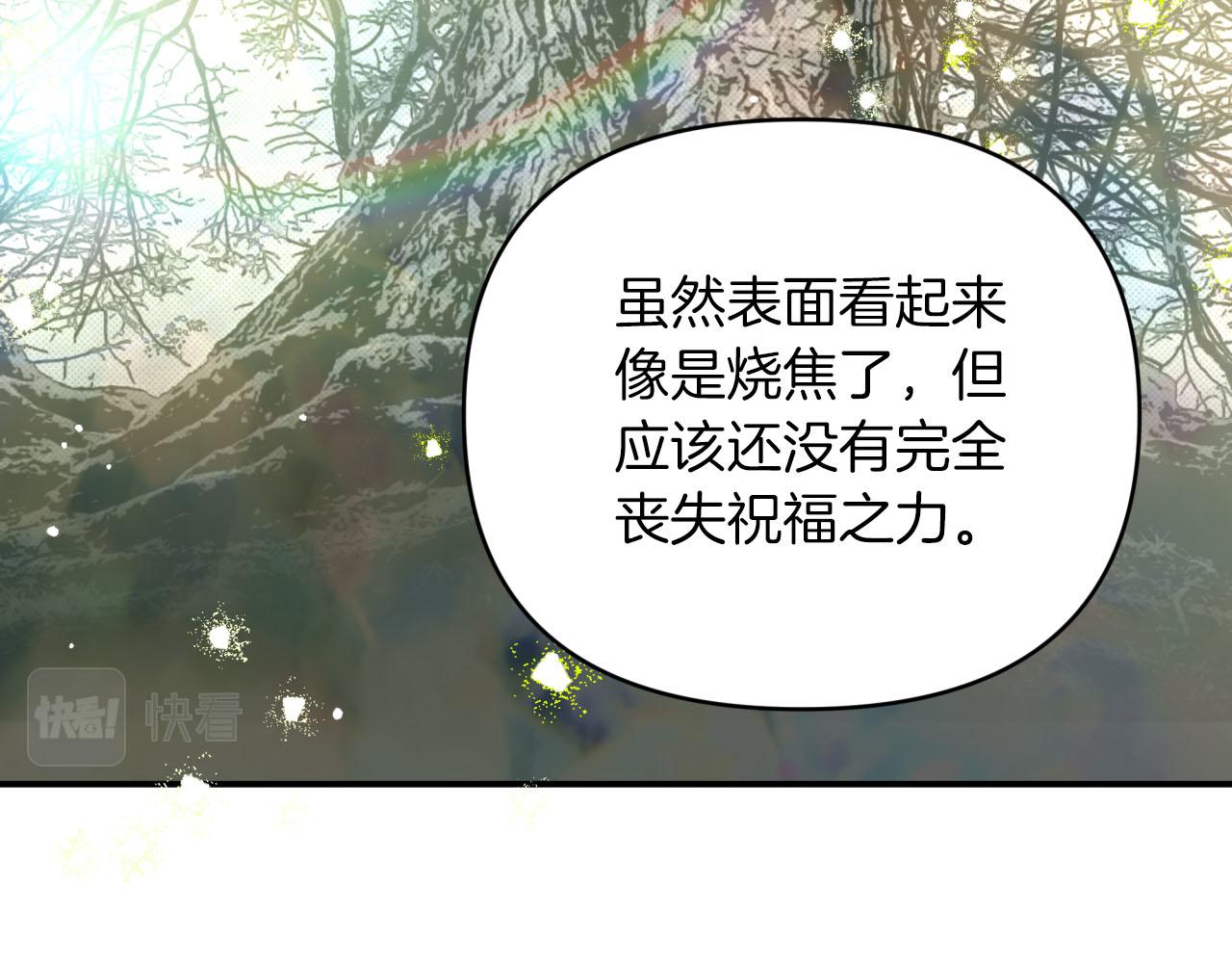 第36话 钻石的味道138