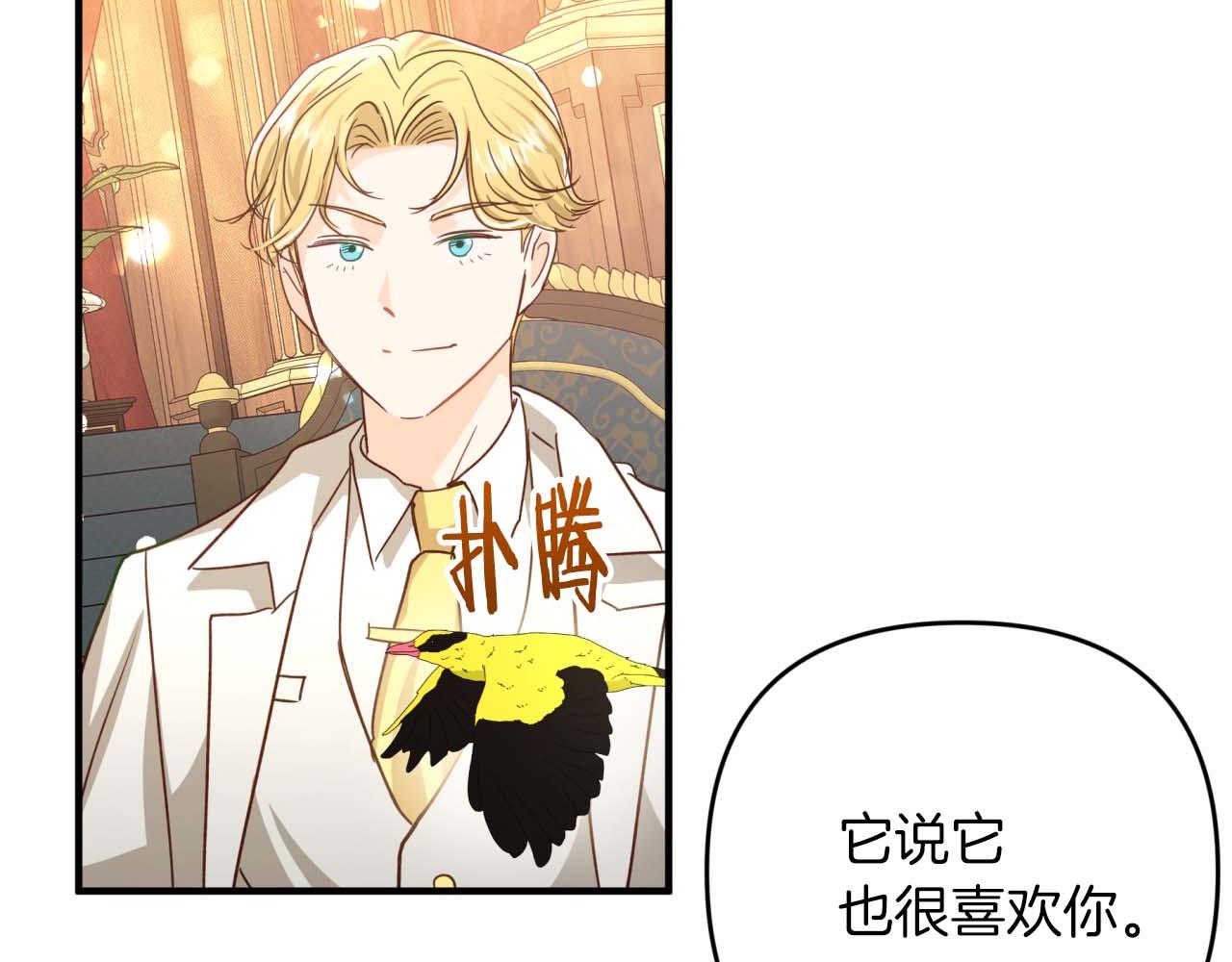 第65话 怎么都是奇葩？183