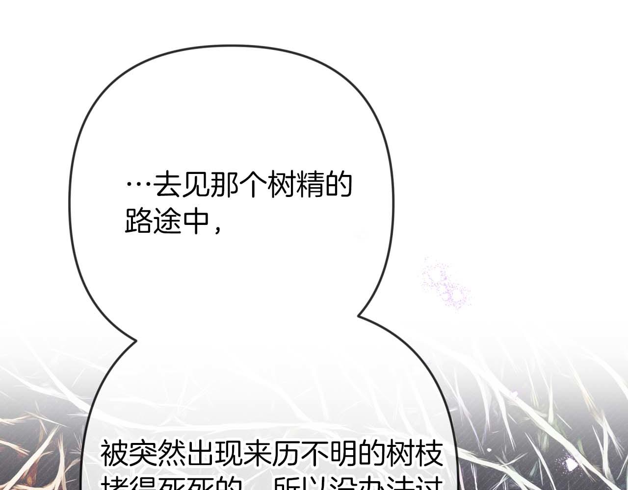 第69话 平凡的人类也想和树精对话75
