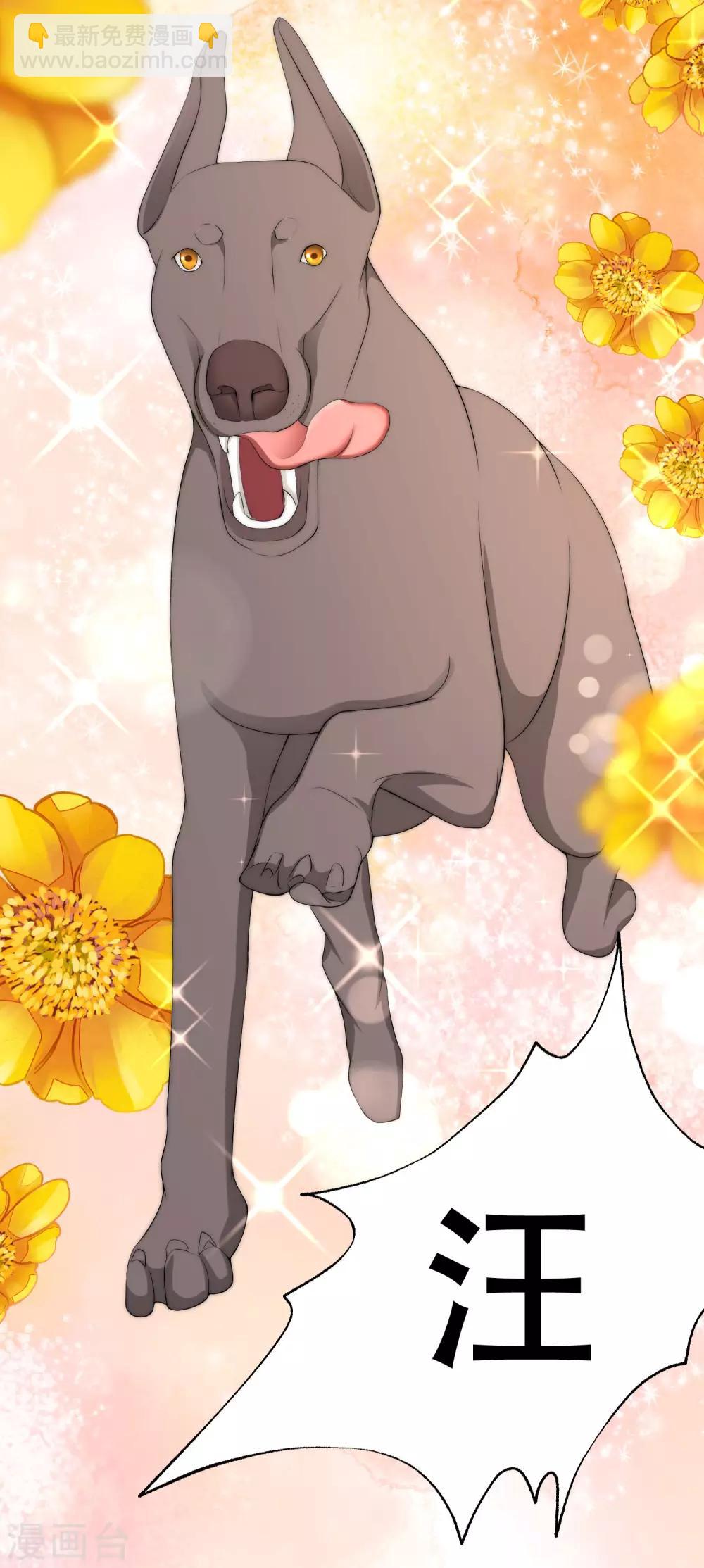 第244话 虐渣姐妹又要登场了！12