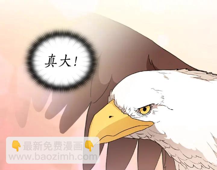 第33话 赌约52