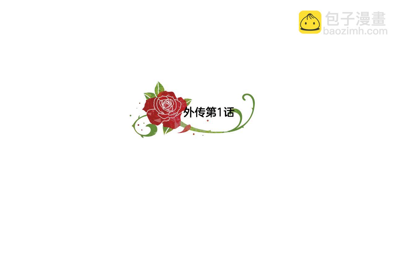 外传1 深情告白4