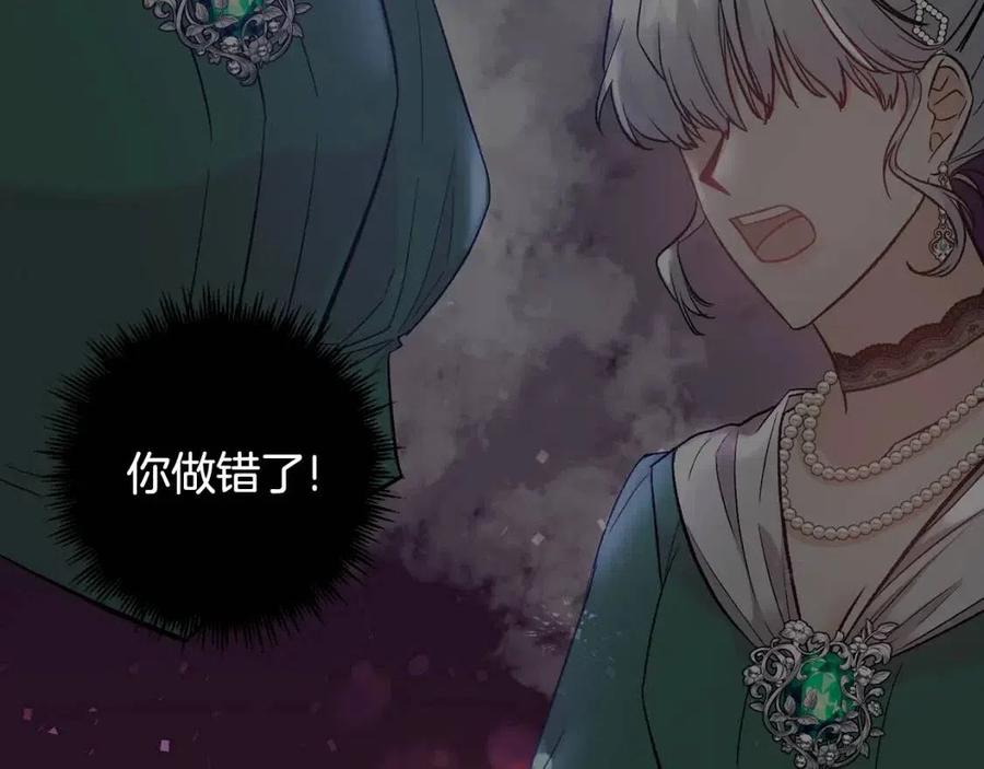 第67话 魔法石的秘密126