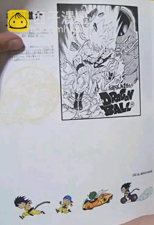 史集30周年贺图16