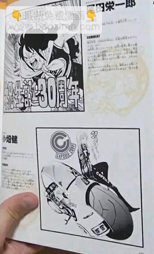 史集30周年贺图5