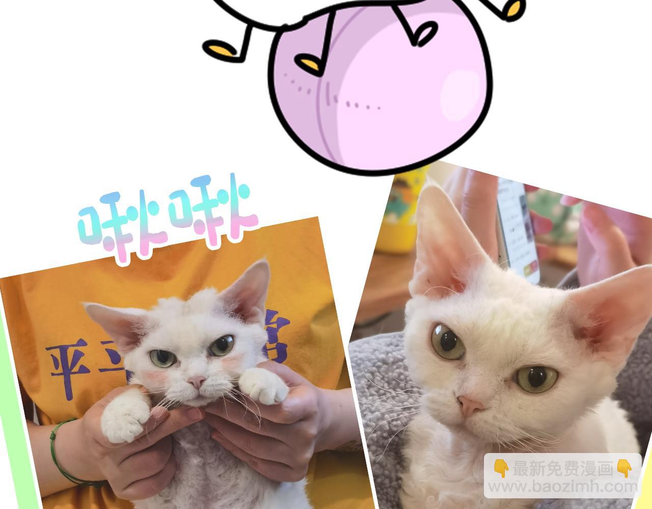 番外 完美的他80
