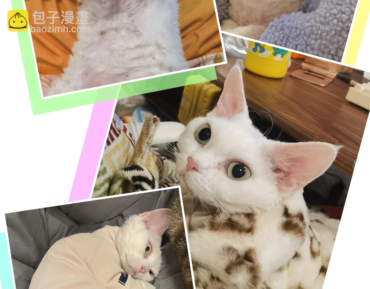 番外 完美的他81
