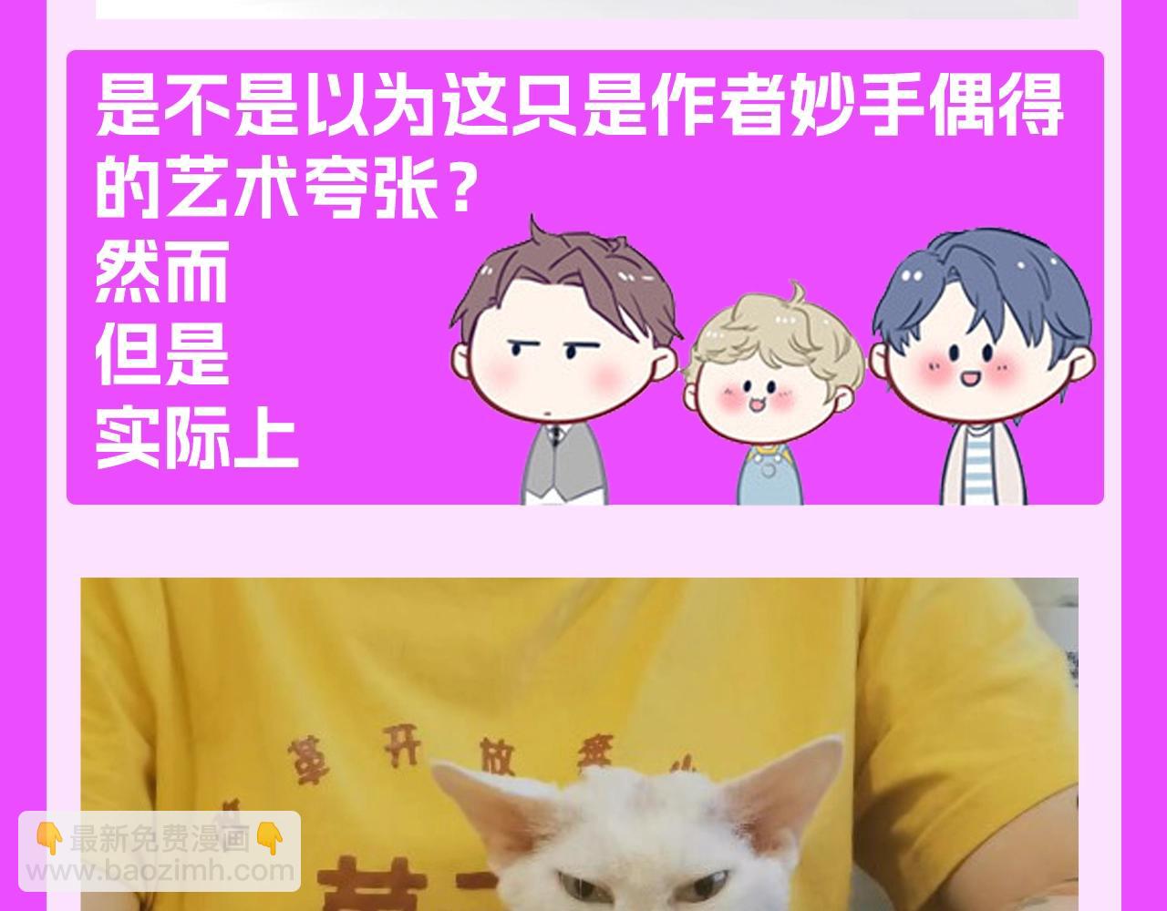 第25期 整活企划：艺......艺术源自生活3