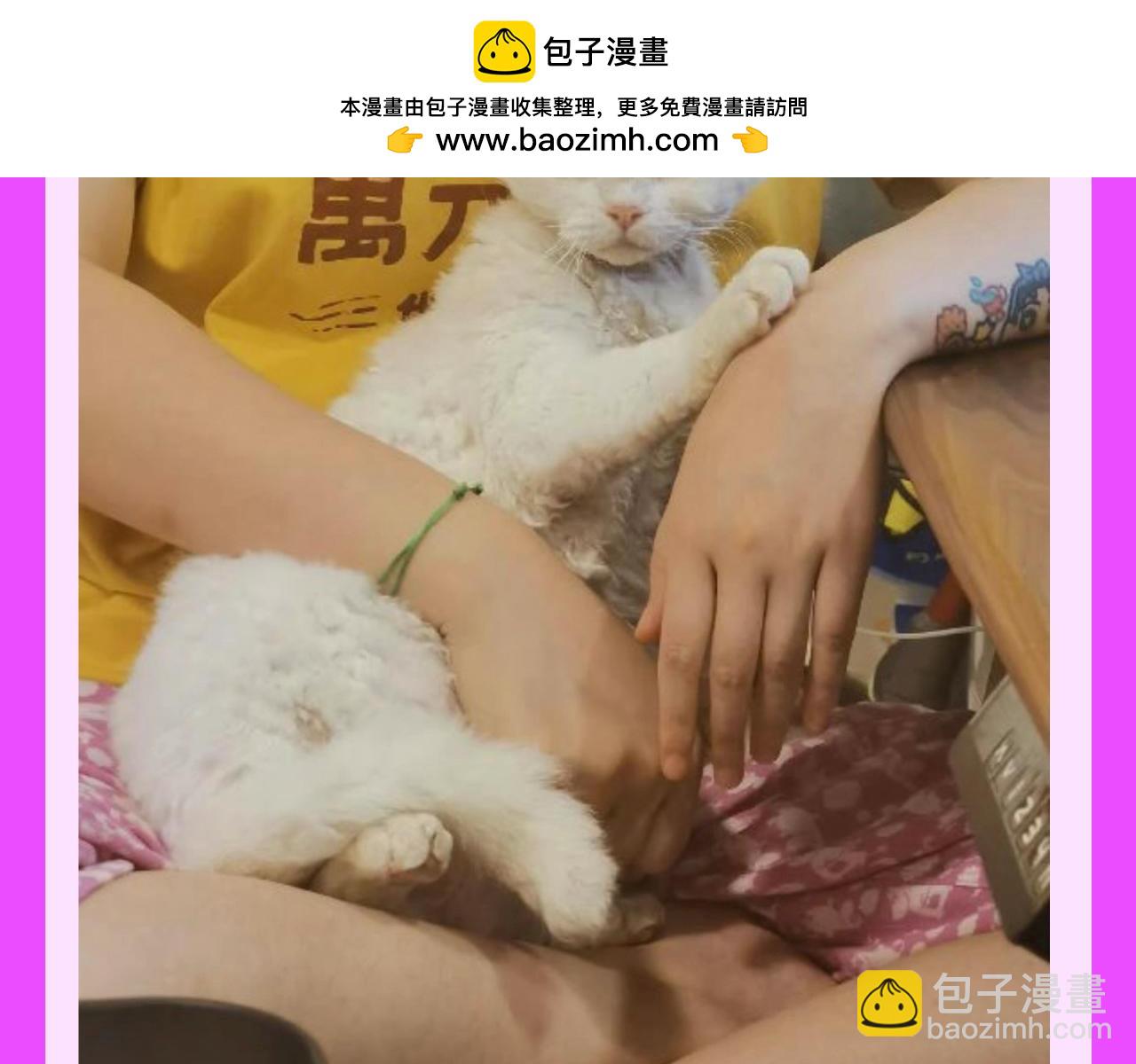 第25期 整活企划：艺......艺术源自生活4