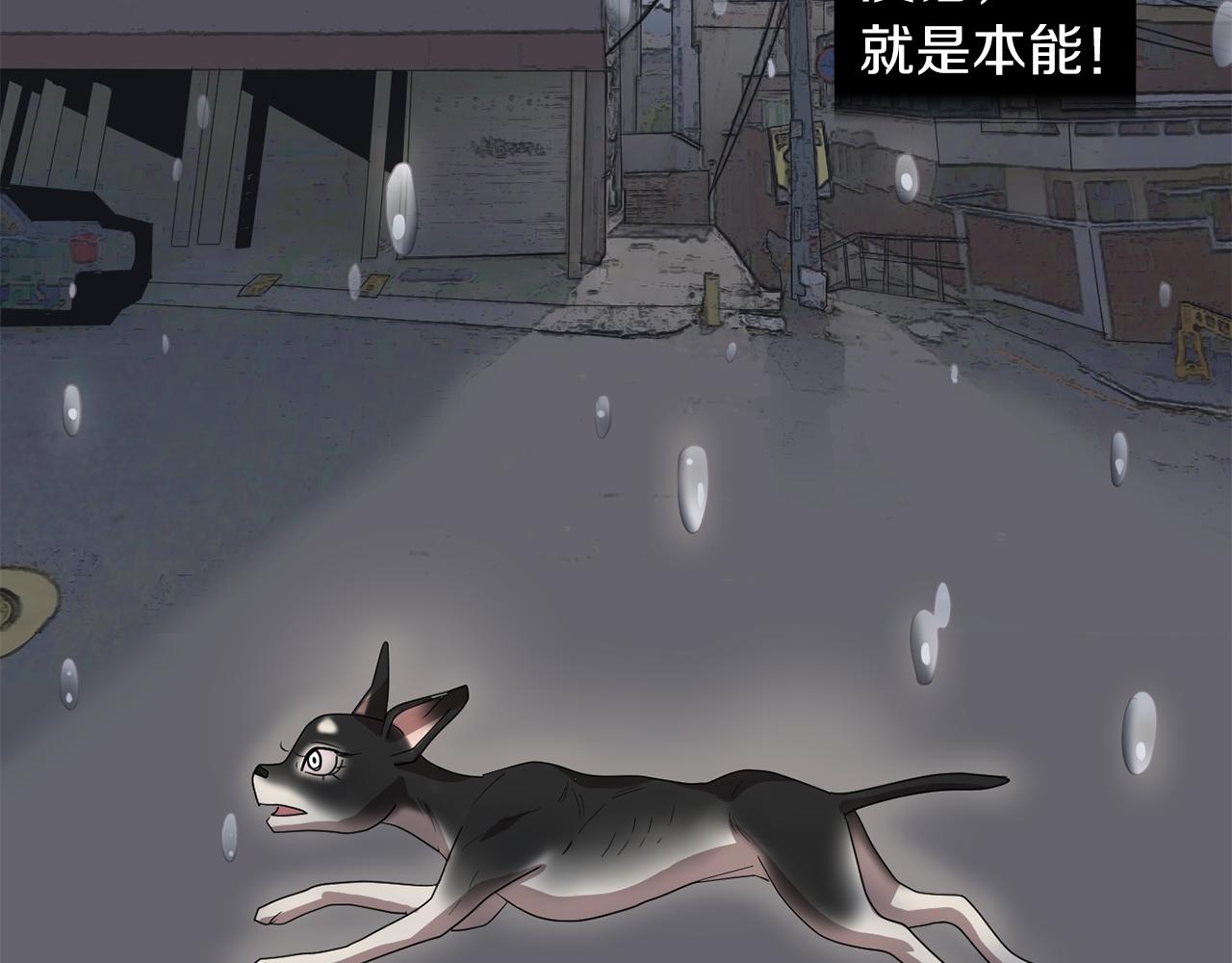 第8话 你又怎么了？38