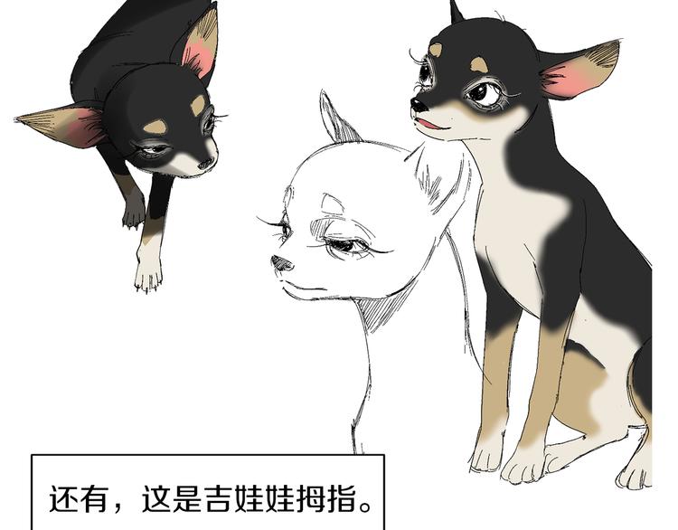 第88话 后记25