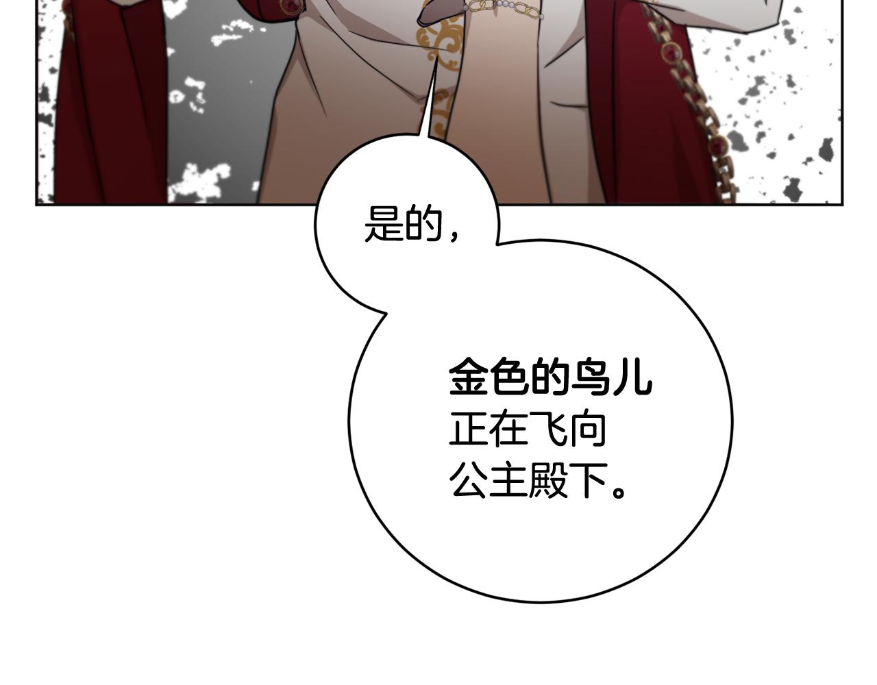 第55话 准备诞辰会231