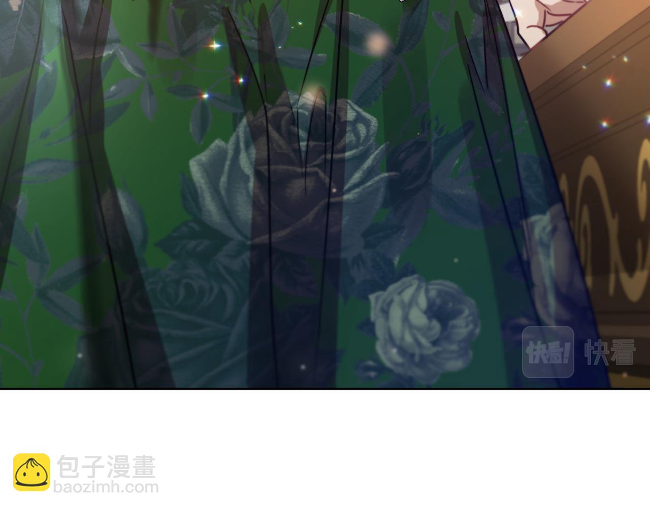 第55话 准备诞辰会3