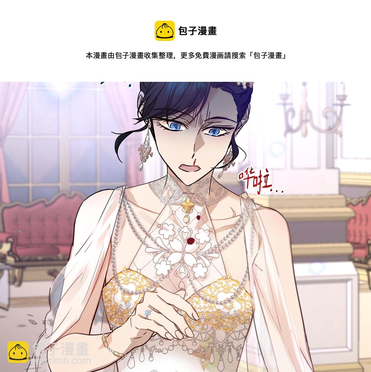 第1季完结话 神秘组织12