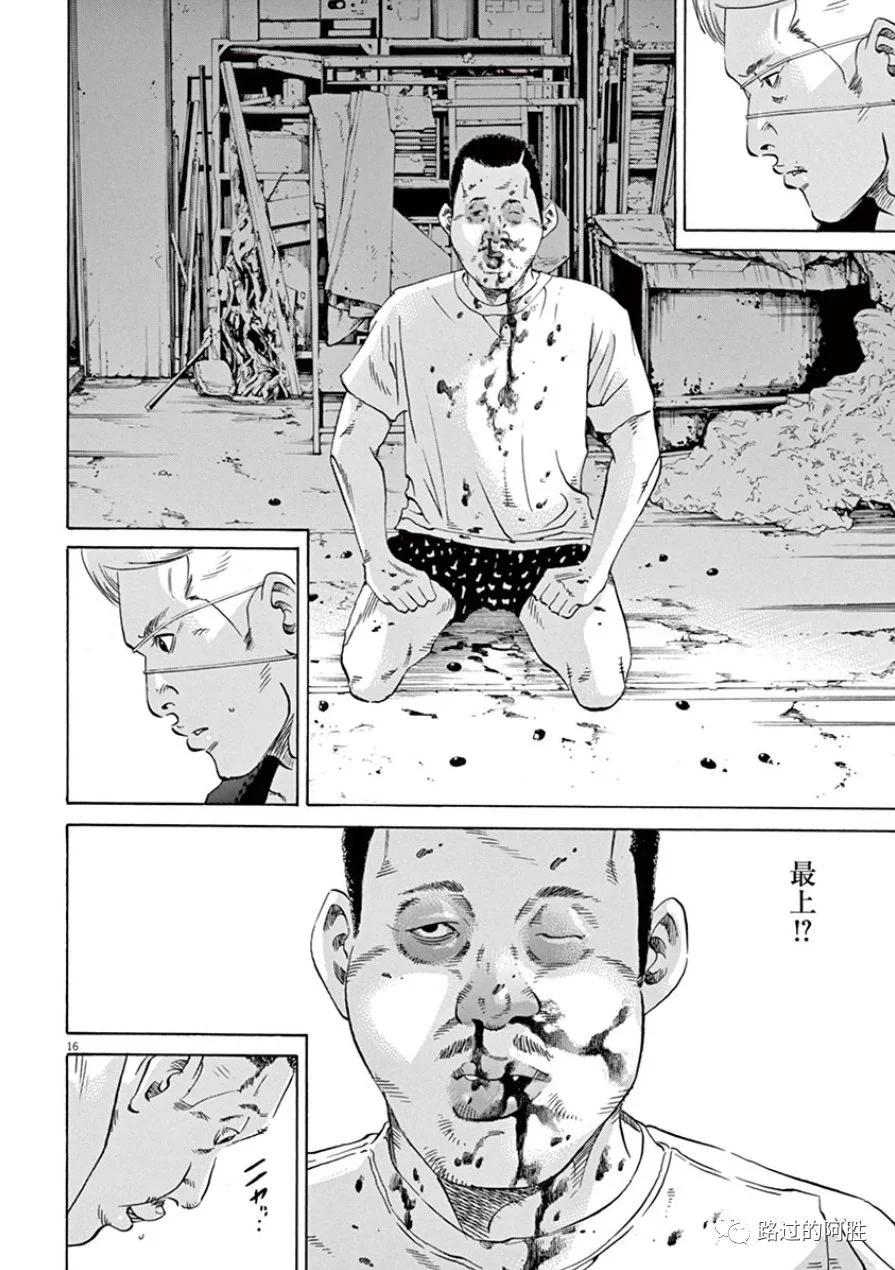 第33卷116