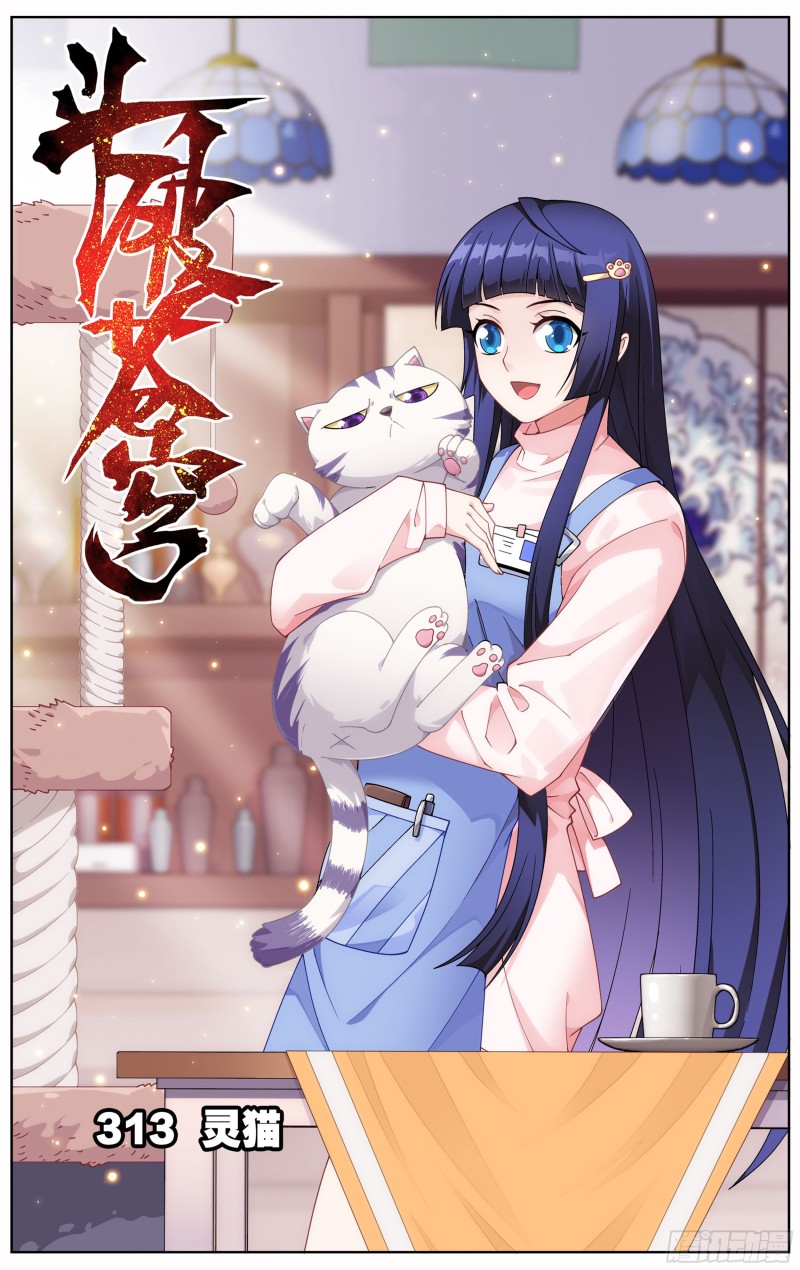 313回 灵猫0