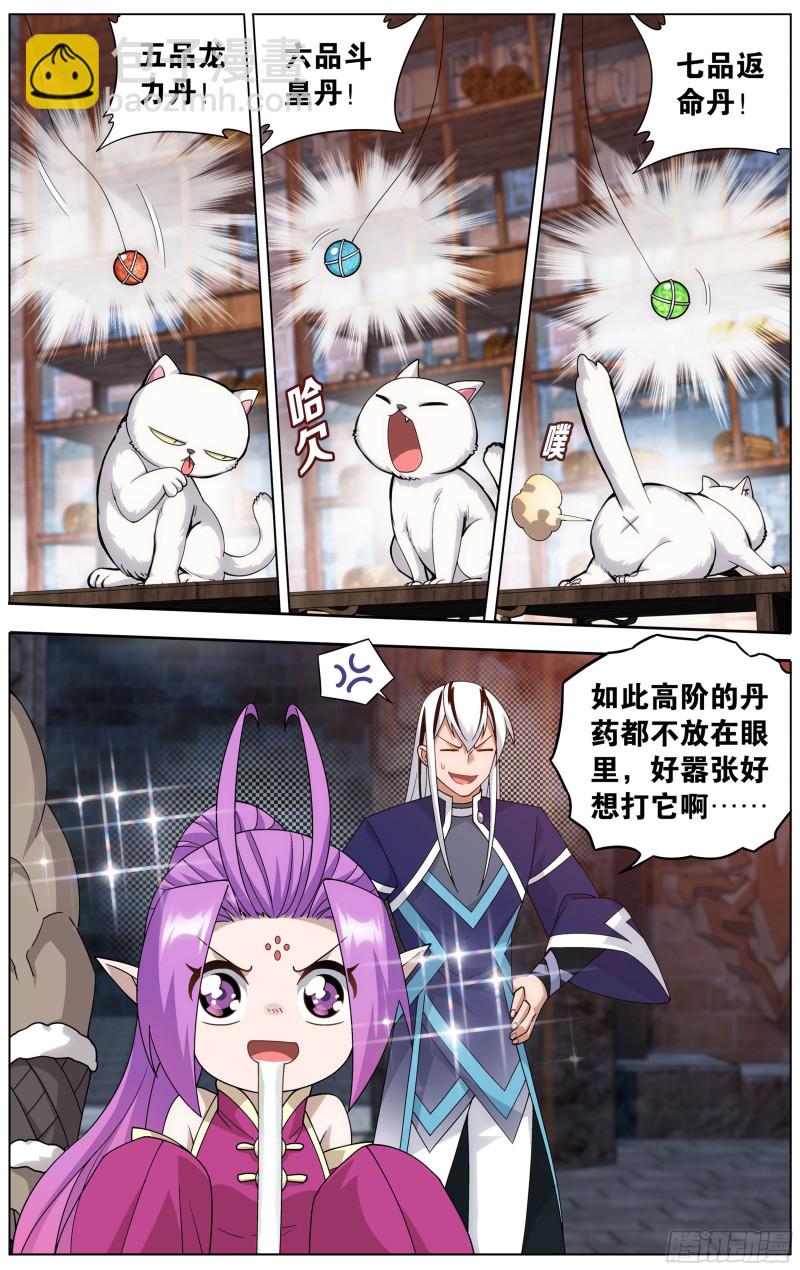 313回 灵猫11