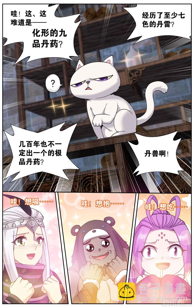 313回 灵猫6