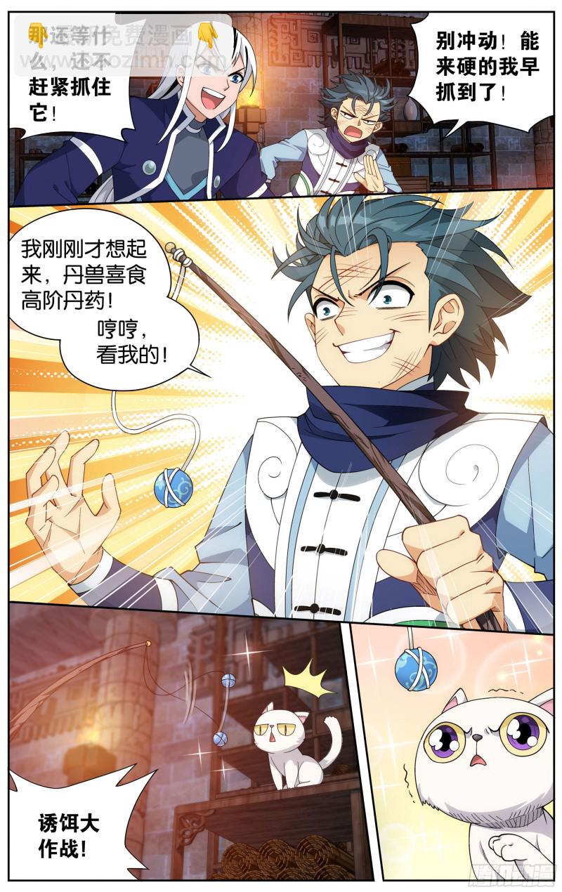 313回 灵猫7
