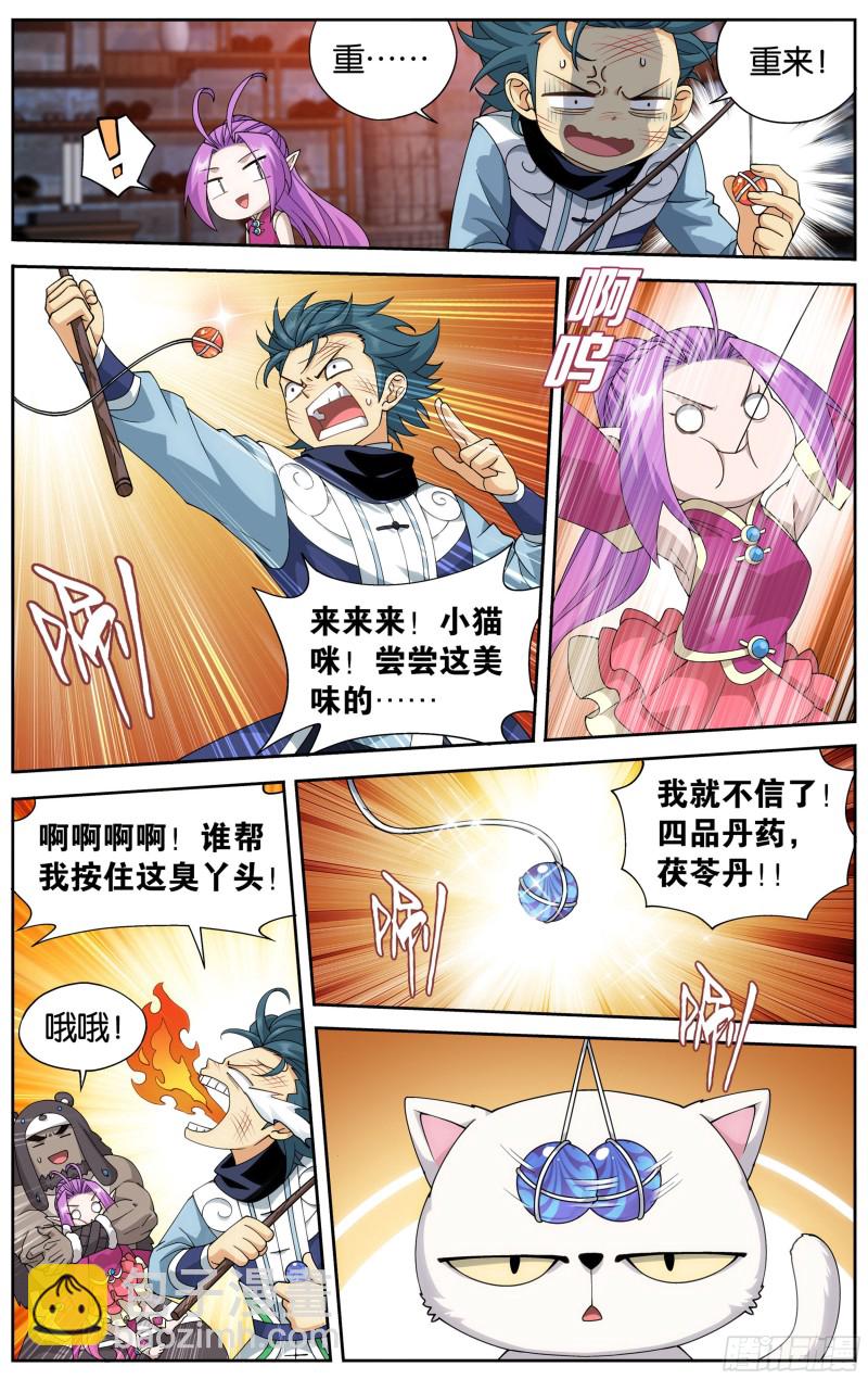 313回 灵猫9