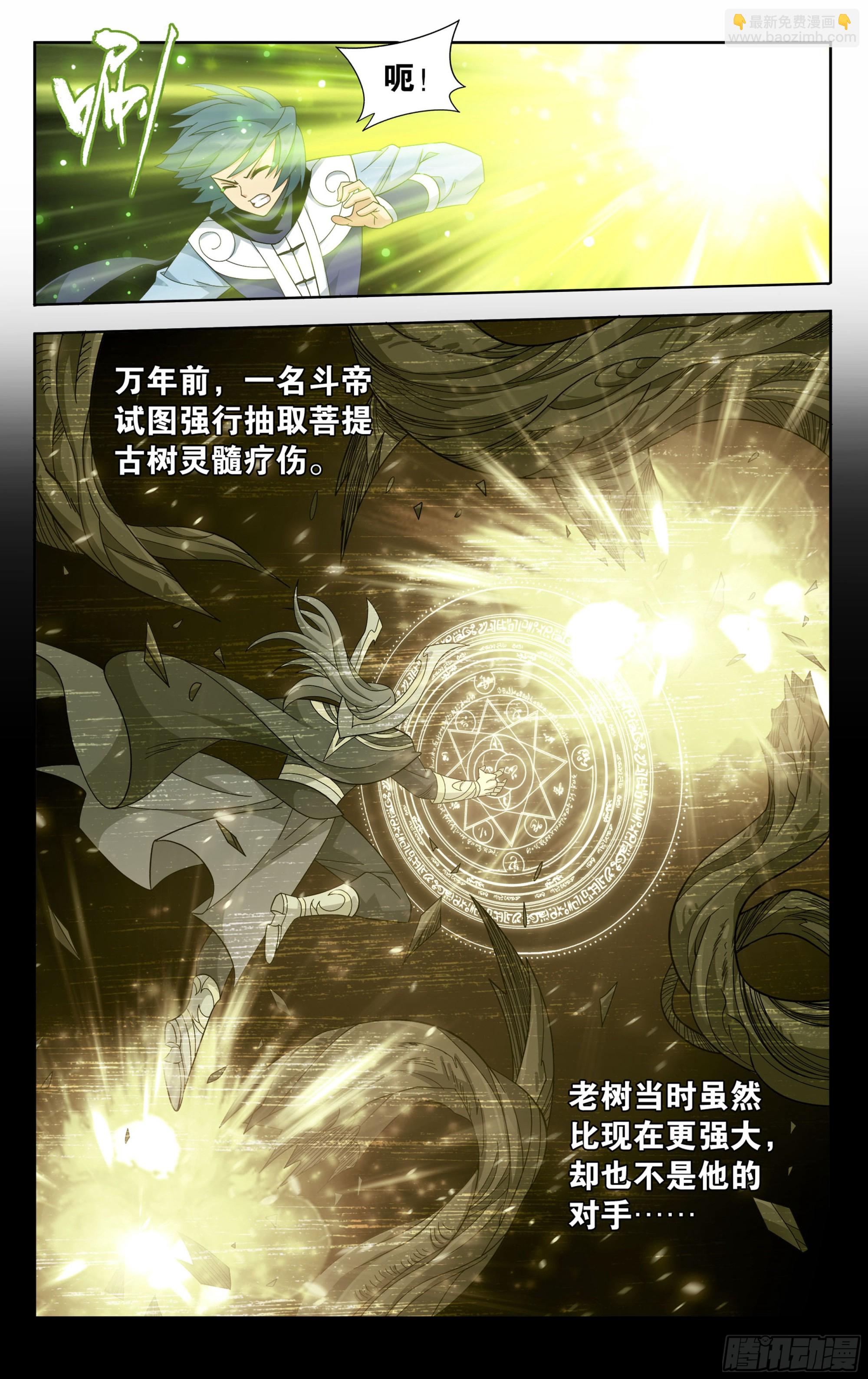 373回 老树10