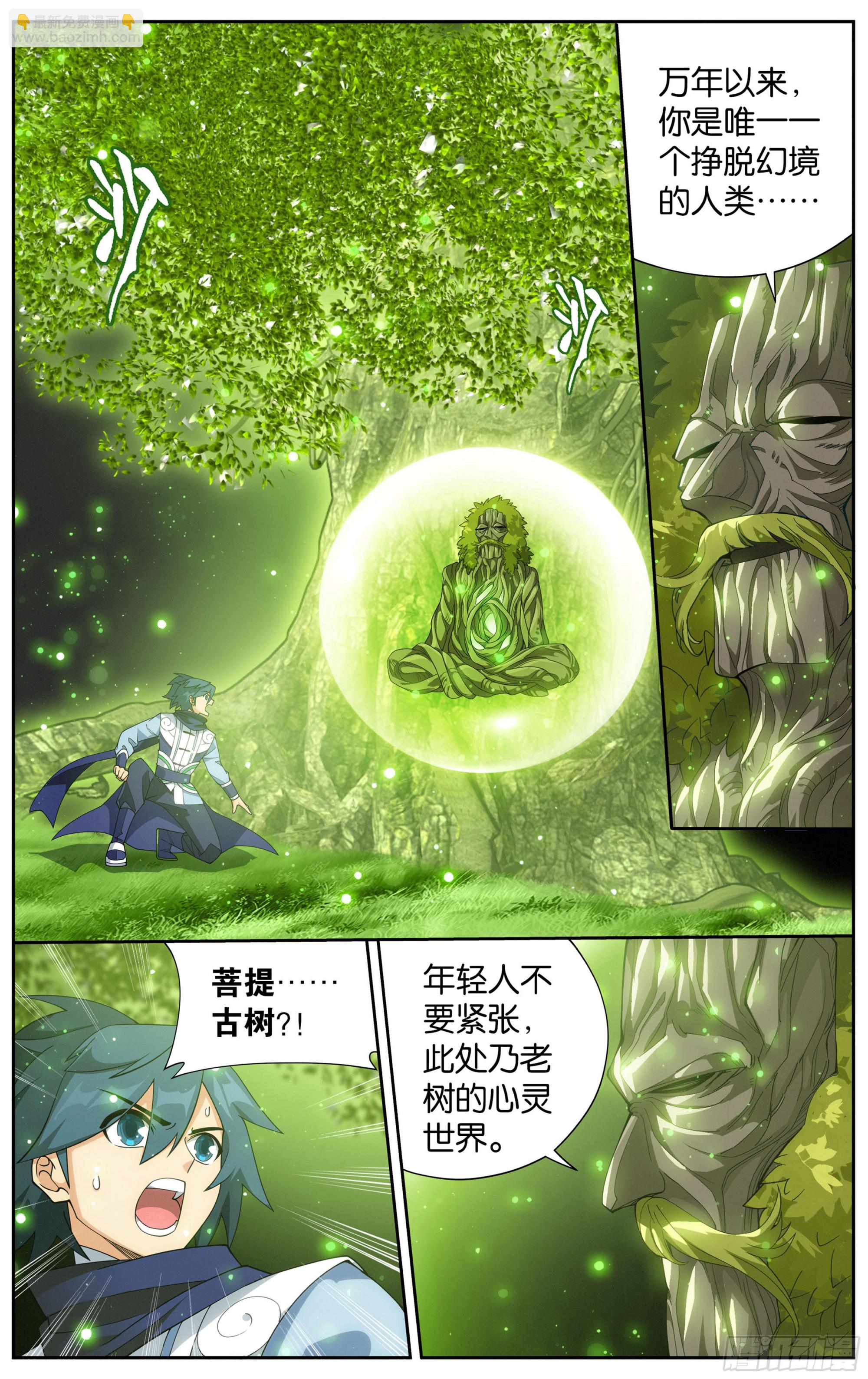 373回 老树8
