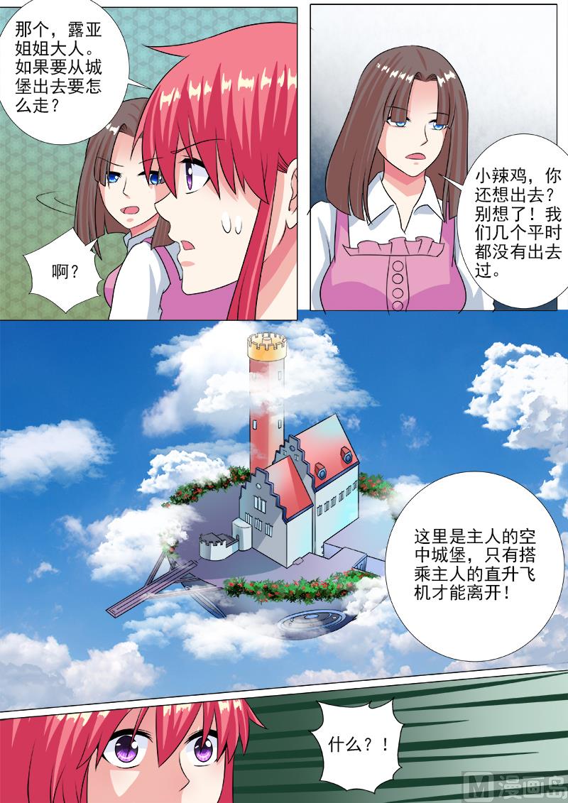 第228话 空中城堡3