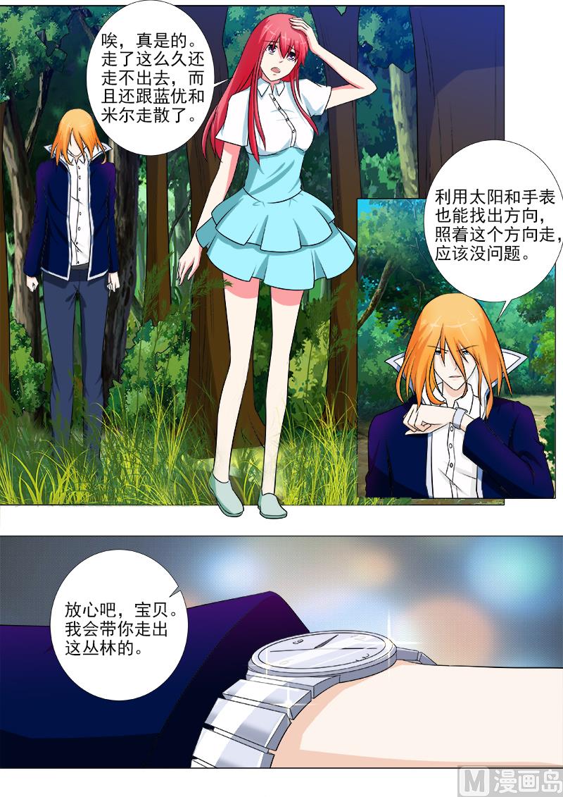 第244话 丛林遇险5