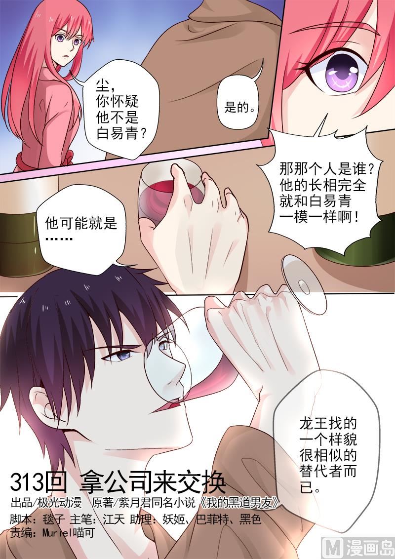 第313回  拿公司来换0