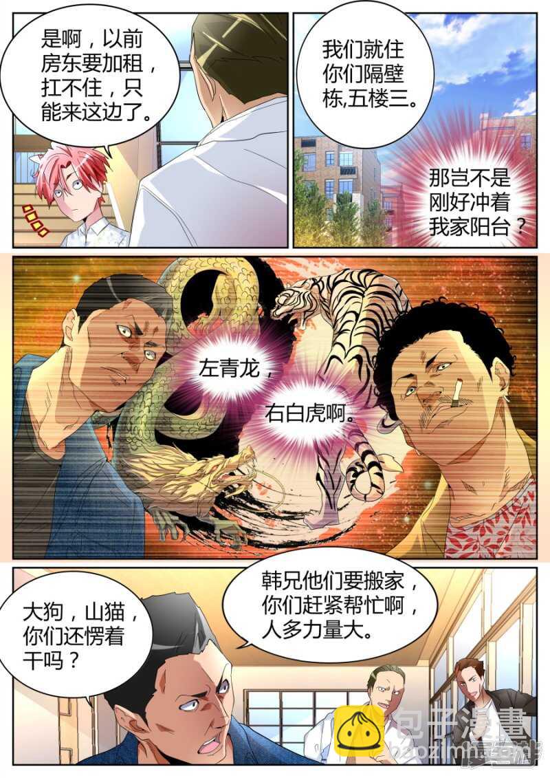 左青龙右白虎7