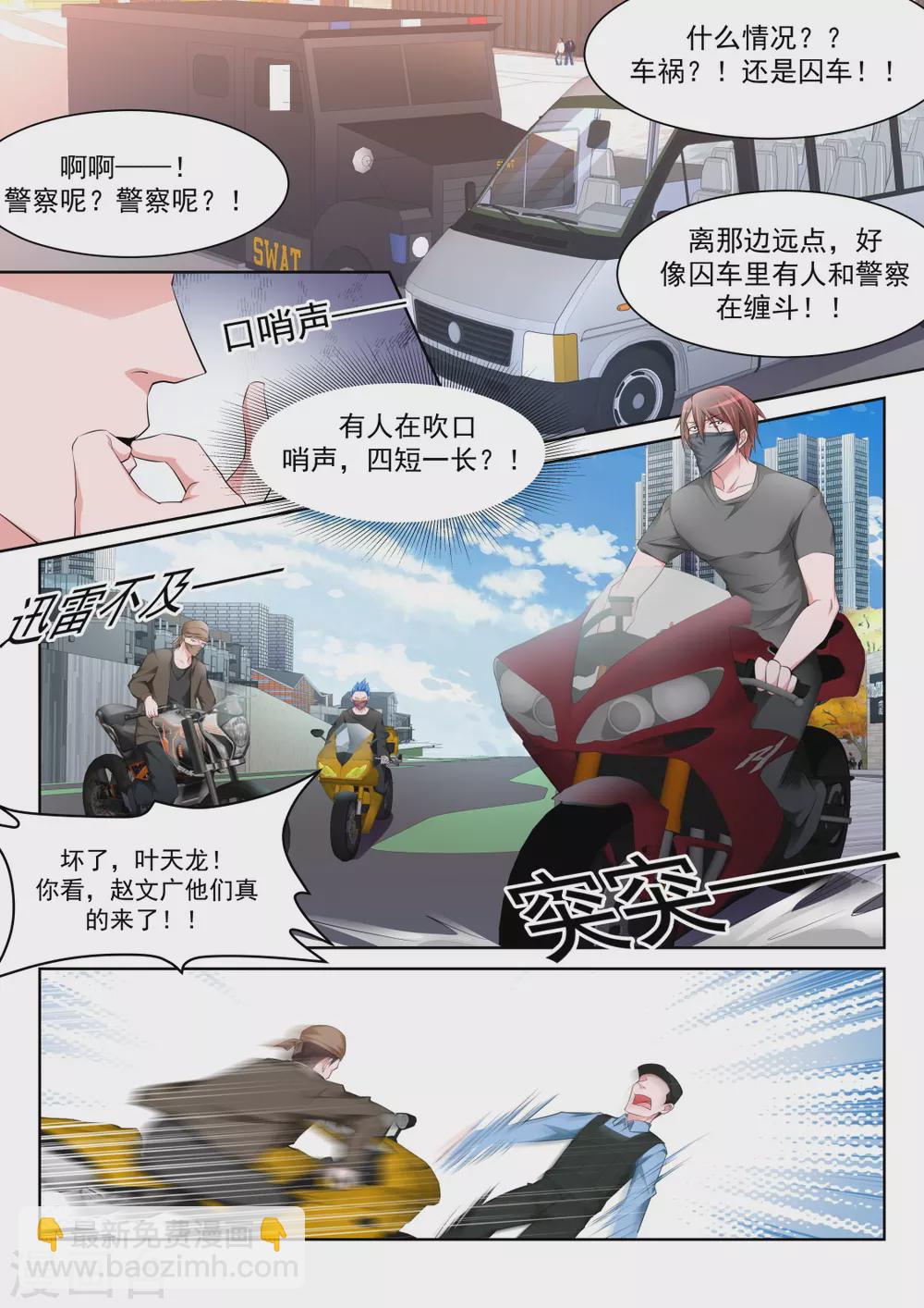 小鸡需要安抚8