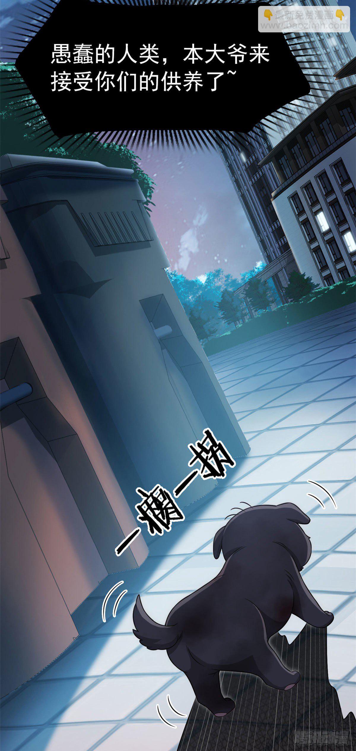 21 可爱=好吃8
