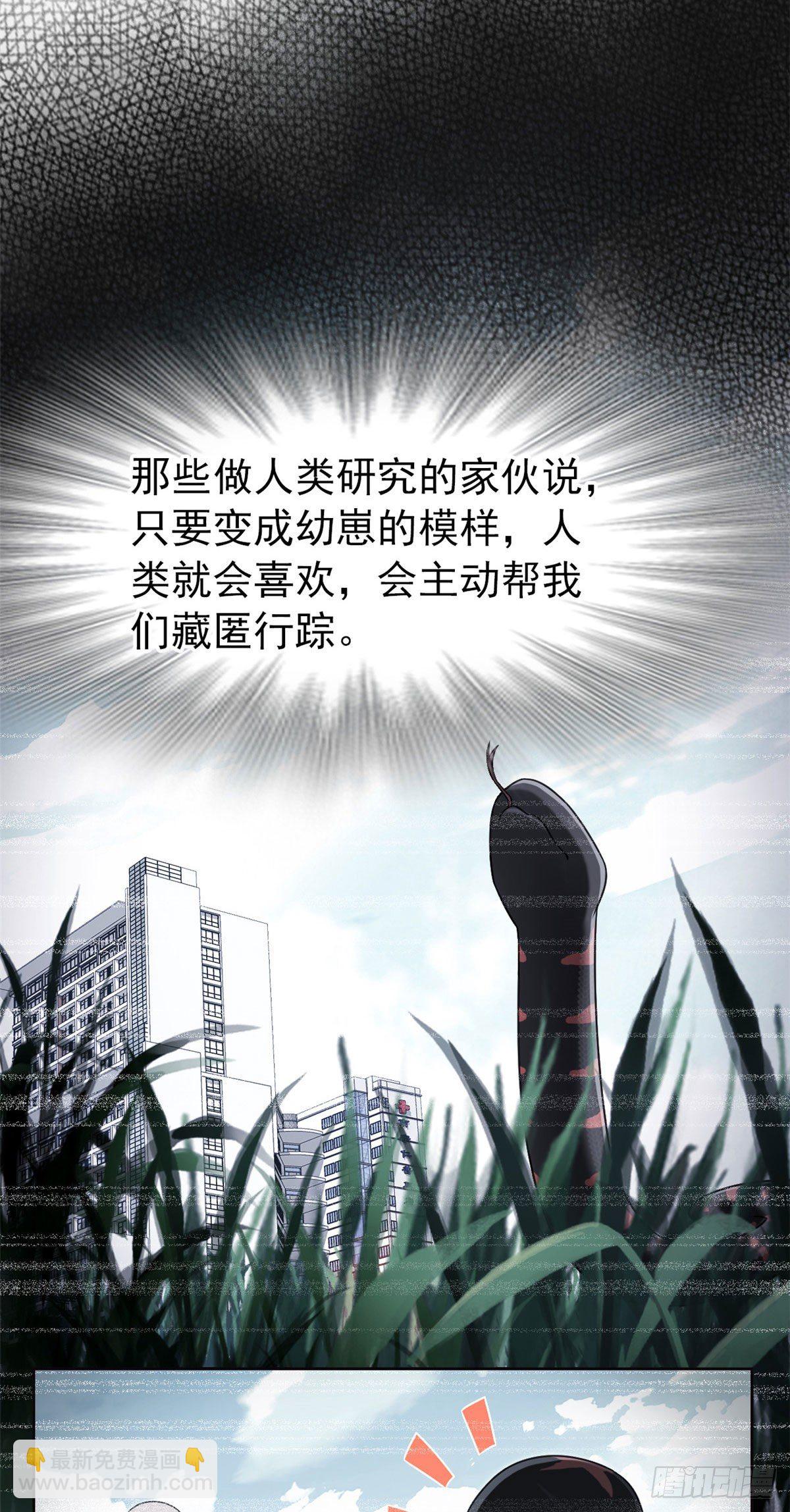 32 可爱玄蛇，遇对人了32