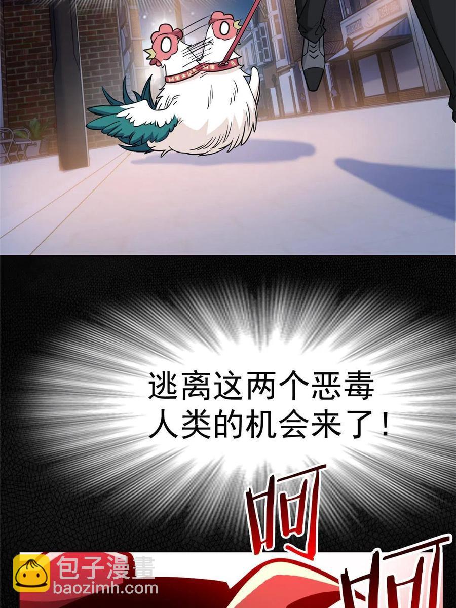79 公鸡领路，法王被坑37