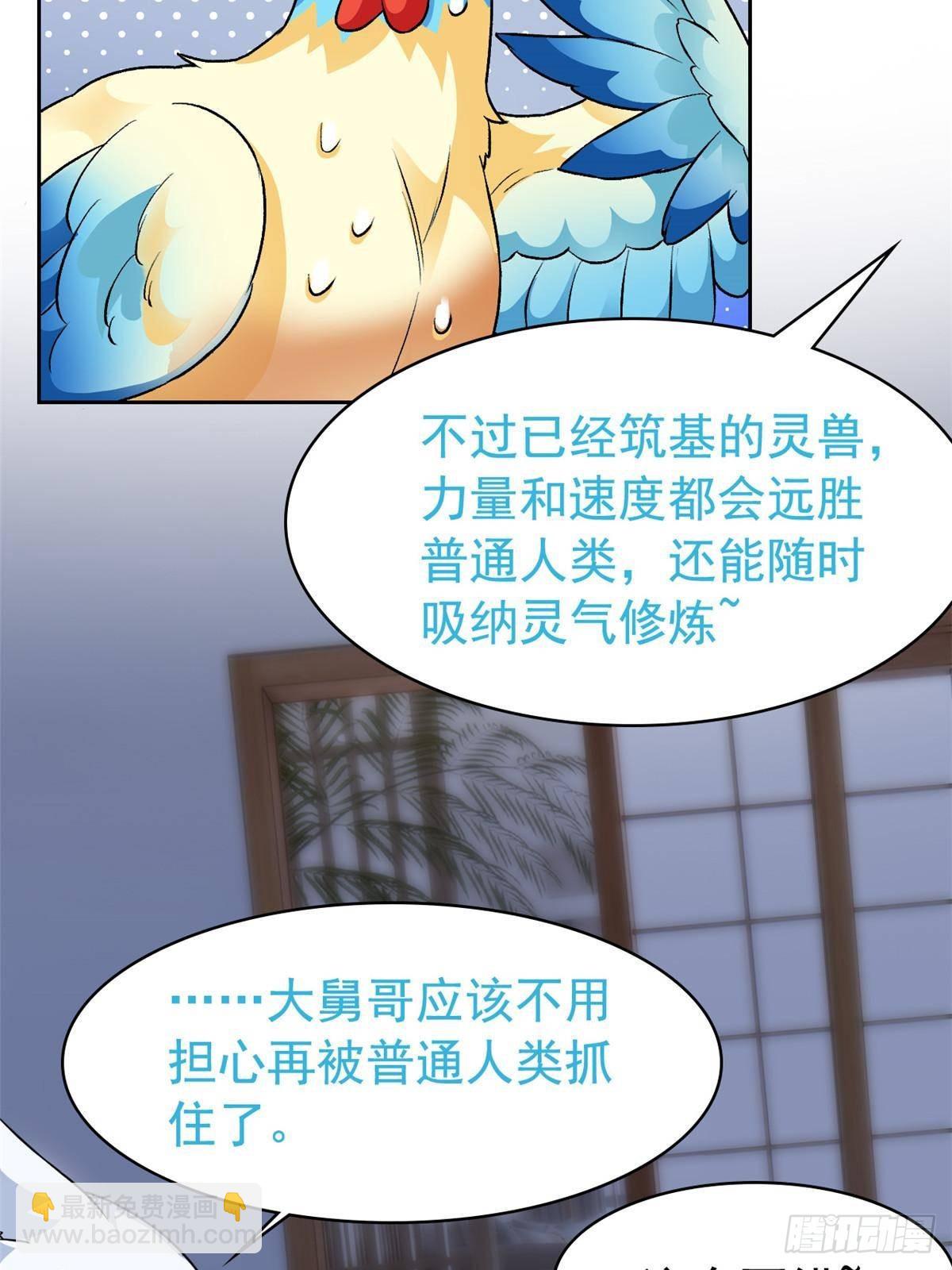 274 公鸡公鸡，你好香啊~41