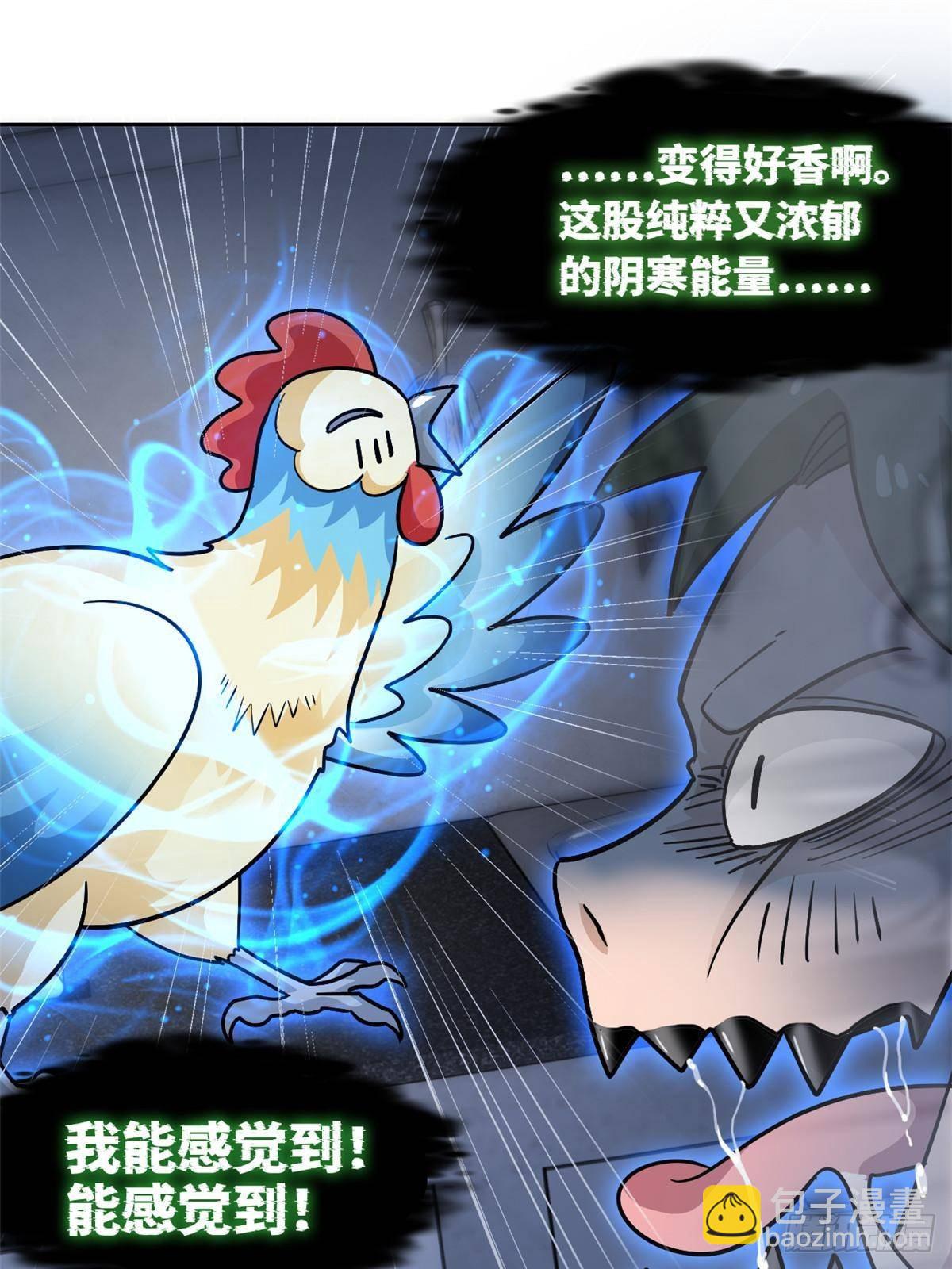 274 公鸡公鸡，你好香啊~43