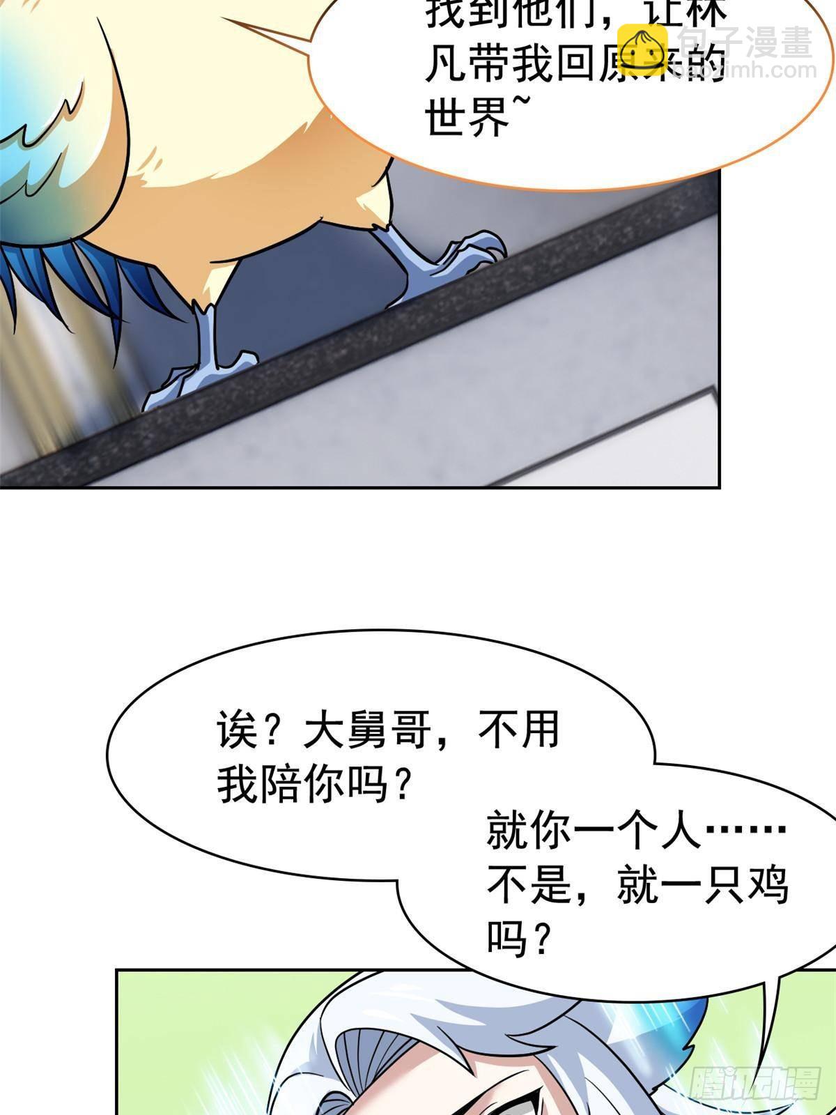 274 公鸡公鸡，你好香啊~62