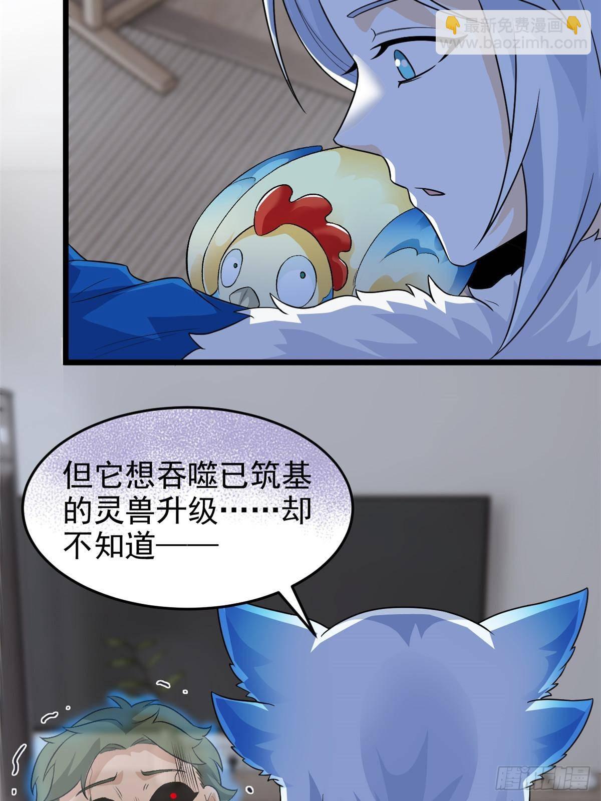 275 公鸡告状，渡珠给鸡24