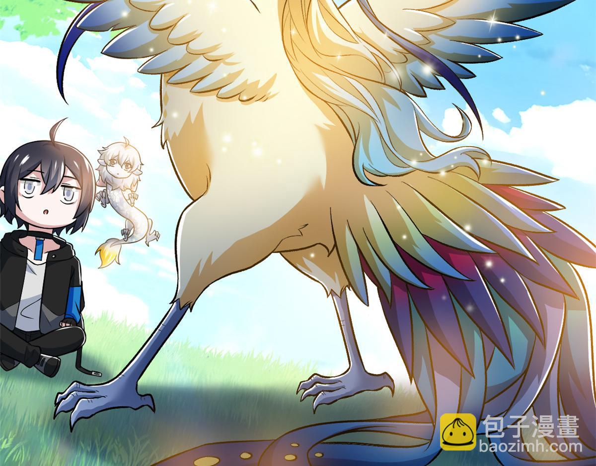 299 公鸡母鸡，感情真好37