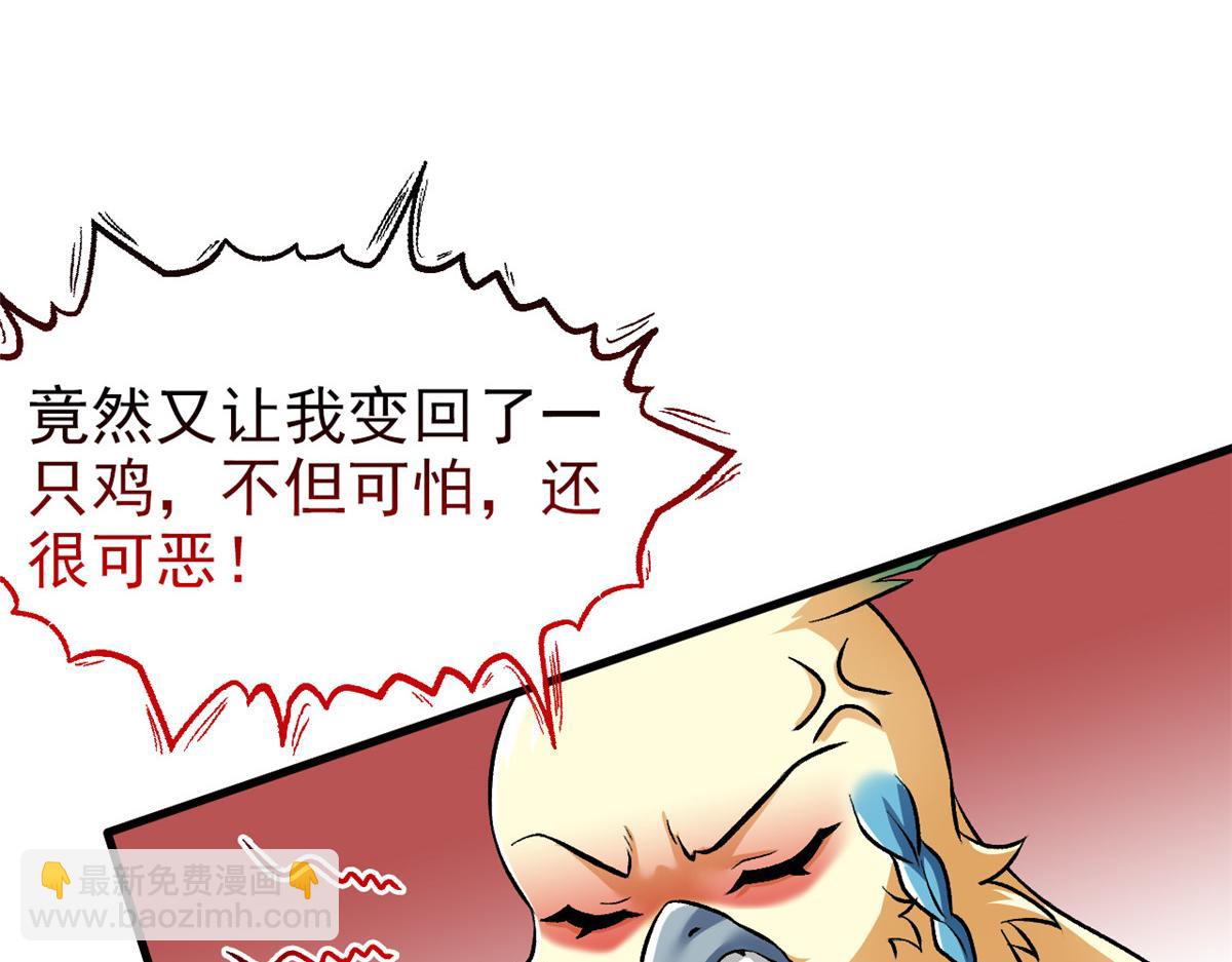299 公鸡母鸡，感情真好40