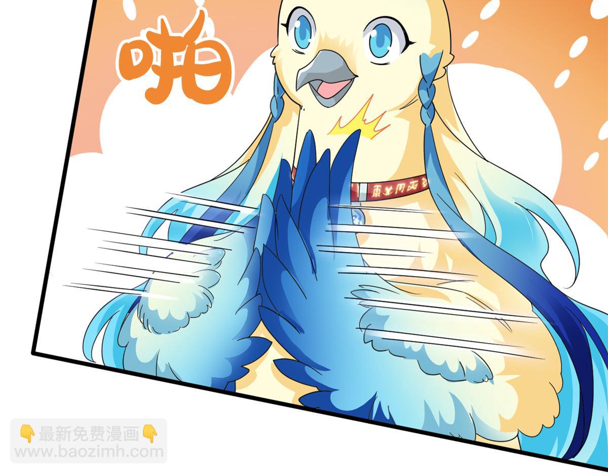 299 公鸡母鸡，感情真好48