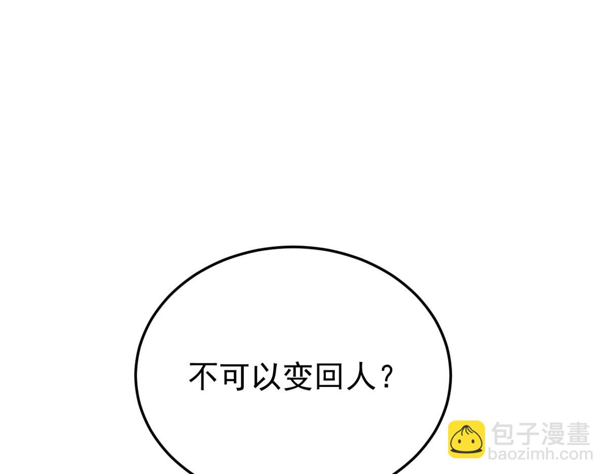 299 公鸡母鸡，感情真好5