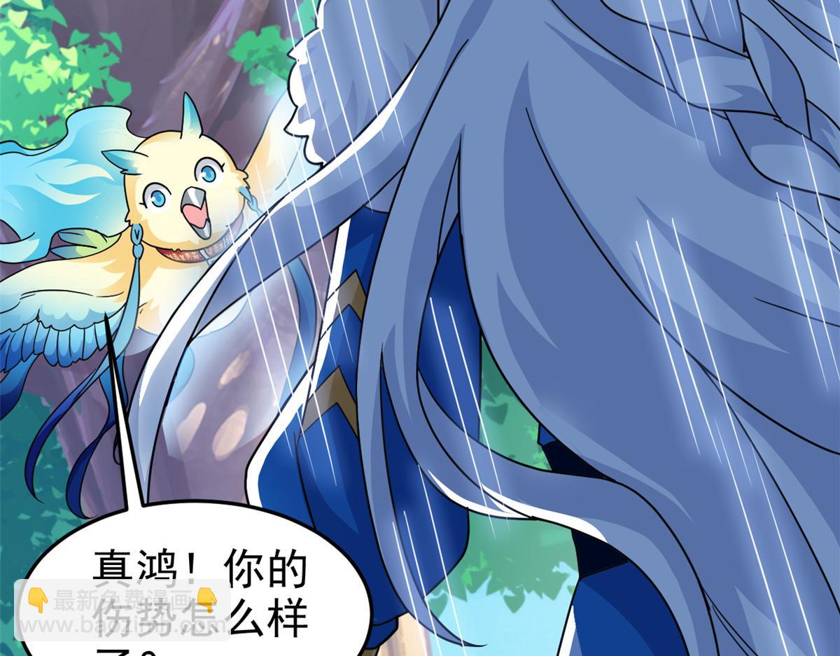 299 公鸡母鸡，感情真好57
