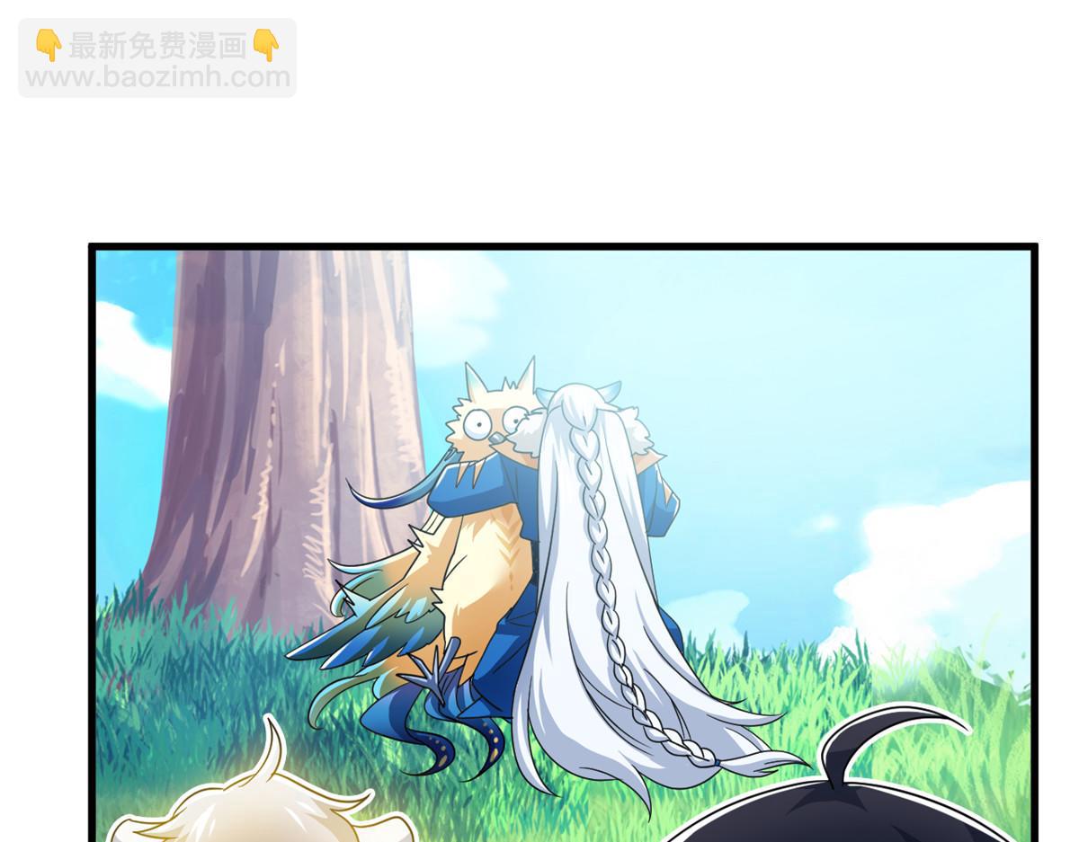 299 公鸡母鸡，感情真好67