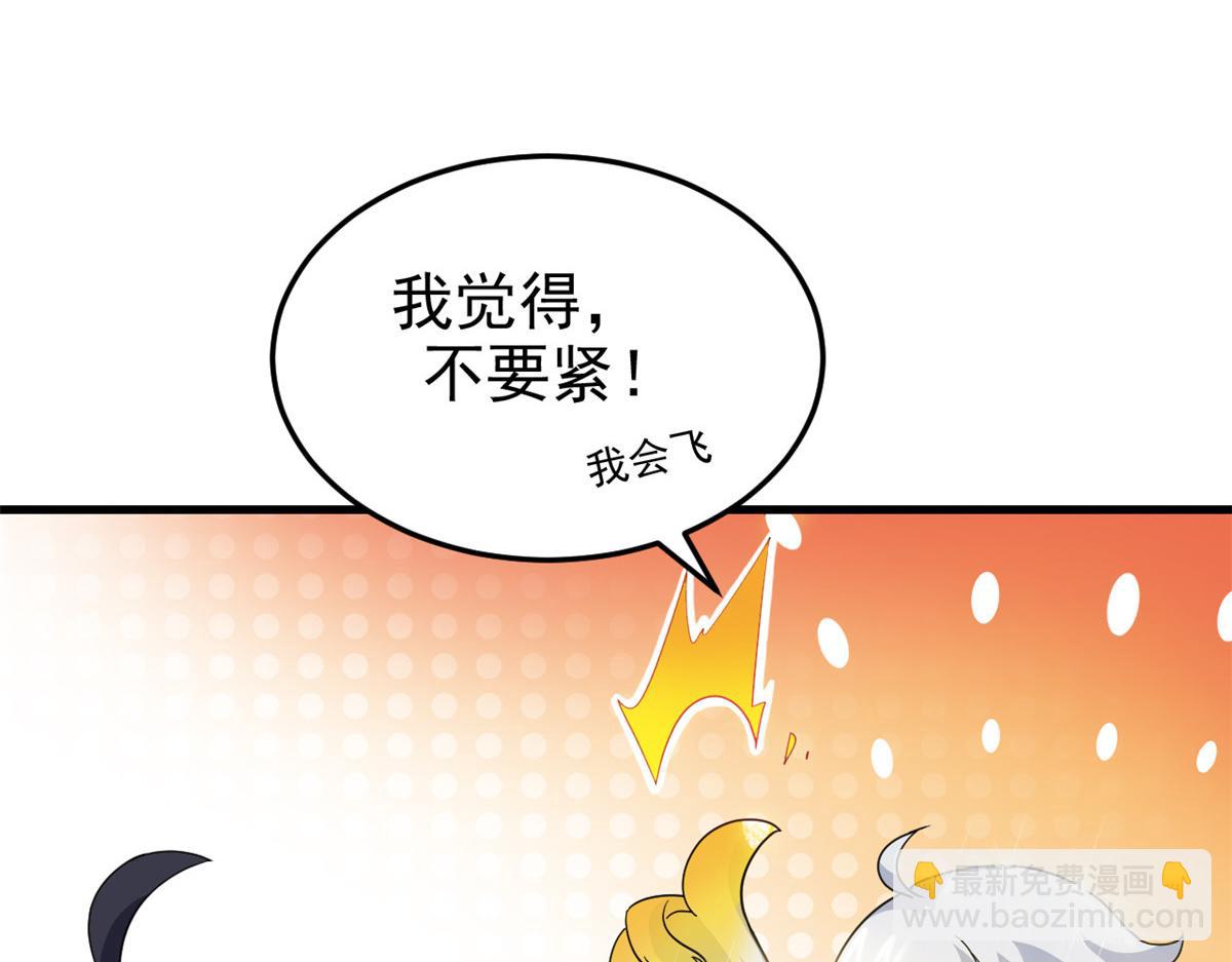 299 公鸡母鸡，感情真好8