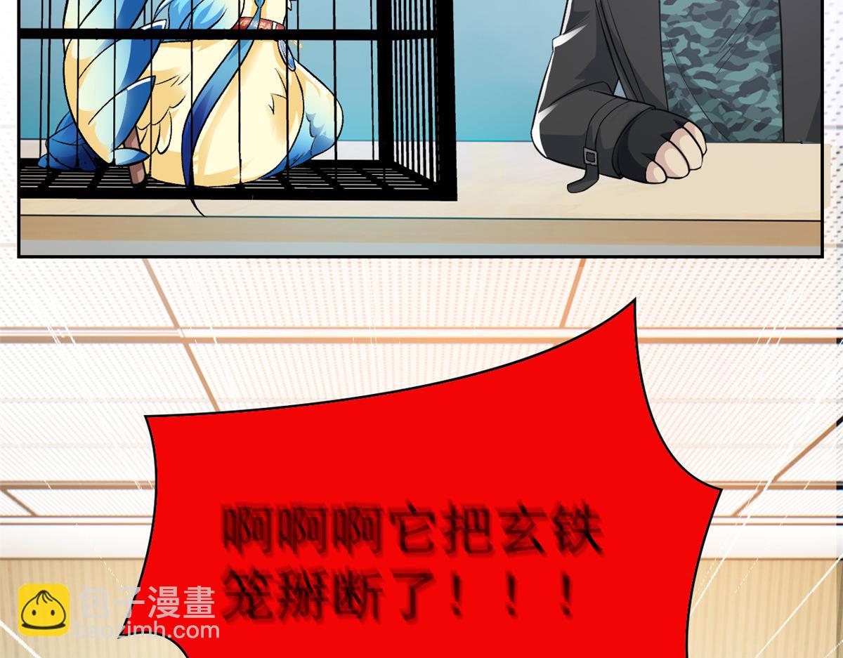 310 没有不乖，我会修笼！105
